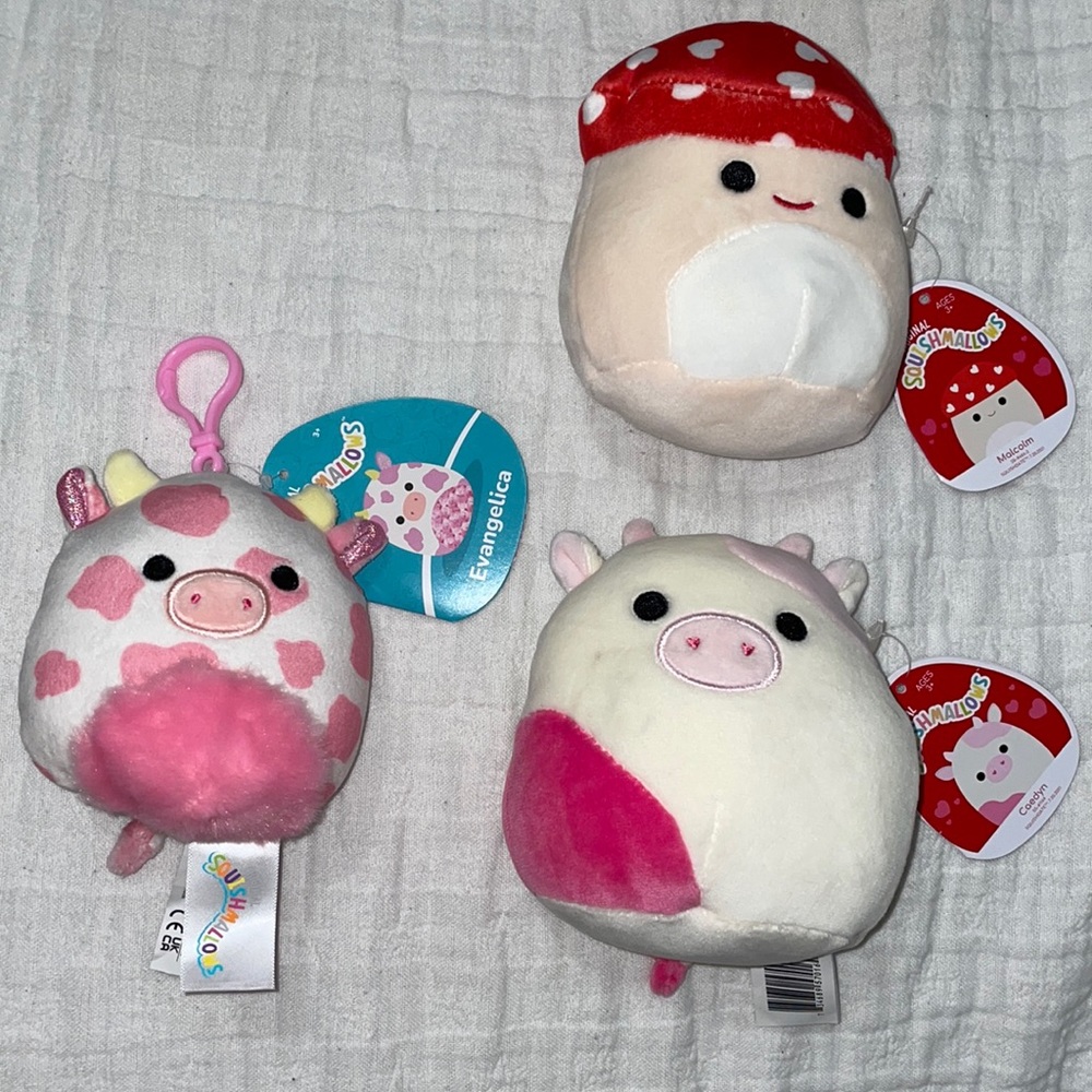 Bulk Valentines Squishmallows